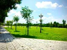 Hình ảnh Đất biệt thự ngay View sông 300m2(12x25) - đường 12m ,dg Tam Đa,Q9