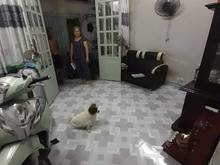 Hình ảnh Bán Nhà HXH Ngay Trung Tâm Nguyển Thị Thập . Q7