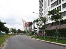 Hình ảnh Tôi cần bán nền đất KDC Huy Hoàng Nguyễn Oanh, P. 17, Gò Vấp