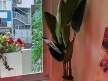 Hình ảnh Bán nhà hẻm 8m, 95/47 Nguyễn Văn Trỗi, Phường 12, quận Phú Nhuận.