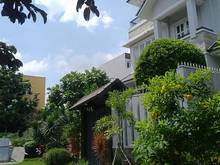 Hình ảnh Bán đất khu an phú an khánh, Q2. Lô C1433. đường 31A. 209,3m. 140tr/m