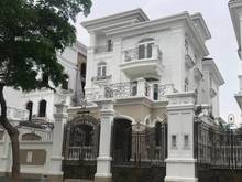 Hình ảnh Bán GẤP căn biệt thự diện tích CỰC ĐẸP hẻm LỚN đường Ba Vân - Bàu Cát