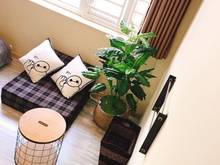 Hình ảnh 4.5x10, 3 lầu 6.2 tỷ. Lý Thường Kiệt, P9, Tân Bình.