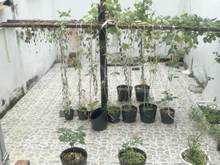 Hình ảnh Bán nhà hẻm quận 4 - Gần chợ 200 Xóm Chiếu  - Diện tích đất công nhận