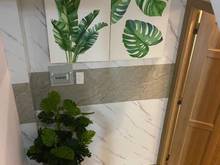 Hình ảnh BÁN NHÀ PHONG THỦY TỐT 4Tầng 39m2 Đẹp,Nở Hậu,Tặng NT,Bạch Đằng, 5.3 Tỷ