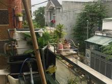 Hình ảnh Nhà Đẹp Khách Xem Khỏi Chê Luôn , Ngô Chí QUốc TĐ