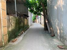 Hình ảnh Về quê làm ăn bán gấp 40m đất ngõ 68 tổ 13 Thạch Bàn, Long Biên