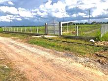 Hình ảnh Đất đang trồng mít Có sổ 500m2--620 triệu,đường 9m
