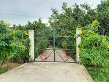 Hình ảnh Bán nhà vườn đường 797 - 588m2 - 14x43 - xã An Phú - Củ Chi