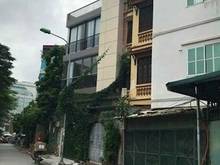 Hình ảnh Nhà Mặt Tiền Khu Phố Tây Bùi Viện 4.1m x 20m, Vị Trí Đẹp Nhất.