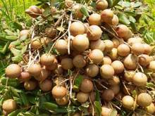 Hình ảnh Thương hiệu nhà cái Mb66 độc quyền tại Việt Nam Nghỉ dưỡng và du lịch.