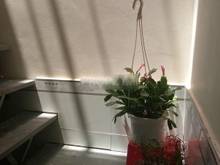 Hình ảnh Bán nhà hẻm đường Nguyễn Đình Chiểu, Phường Đa Cao, Quận 1