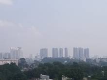 Hình ảnh Cho thuê Căn Hộ Q8 - Topaz City - 2 phòng - 8.5 Triệu