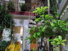 Hình ảnh Nhà chính chủ Trung Tâm Quận 1, có thể thiết kế xây biệt thự Mini, sổ