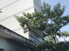 Hình ảnh Cho thuê Nhà nguyên căn 4 lầu, MT đường Hồng Hà, P2, Tân Bình. 5.8x11m