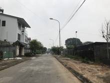 Hình ảnh Chuyển nhà vào Nam, Bán trước tết mảnh 60m tái định cư Trâu Quỳ
