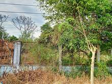 Hình ảnh Bán đất đường 500 - 385m2 - 6x65 - 300m2 thổ cư - xã Phạm Văn Cội