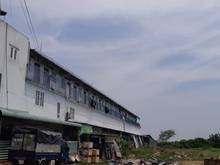 Hình ảnh Cần bán 300m2 đất ở P. Tân Tạo, Q. Bình Tân