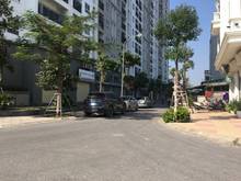 Hình ảnh Cần sang nhượng 79,3m2 đất đấu giá Phúc Lợi, cạnh Ecohome Phúc Lợi