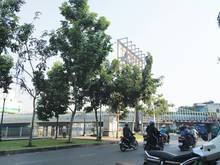 Hình ảnh Cho Thuê Phòng Nội thất Cao Cấp Trung Tâm Quận 3- Nam Kỳ Khởi Nghĩa Q3