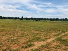 Hình ảnh Đầu tư đất biển Bình Thuận cạnh KDL Safari Lớn nhất đông nam á.