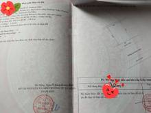 Hình ảnh Cần bán lô biệt thự mặt tiên Nguyễn Đình Hoàn - Phường Nại Hiên Đông