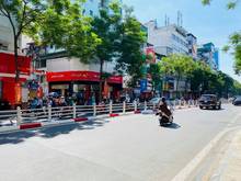 Hình ảnh Thái Hà, KD đa dạng, sát mặt phố, Ngõ oto, thông, 120m x 8T