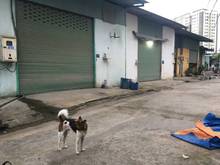 Hình ảnh Thanh lý gấp 2 cái kho và 1 miếng đất 210m2 Mặt tiền đường số 7