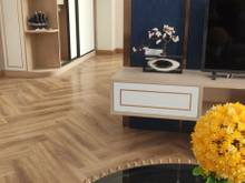 Hình ảnh Cho thuê chcc mới xây hiện đại