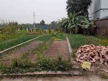 Hình ảnh Bán đất Đông Anh đủ loại S= 50,55,60... m2 giá rẻ để ở, để Trang MB66.COM Chính Thức - MB 66 Uy Tín