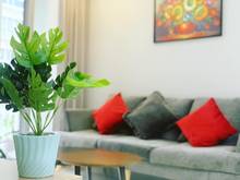 Hình ảnh Cho thuê Trang Chủ MB66.COM / Đăng Ký Tặng 66K cao cấp green valley giá 19 triệu100/tháng.