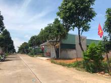 Hình ảnh Cần Bán Miếng Đất Có Tiền Sang Năm Xoay Sở Công Việc,T.Cư,Shr,C.Chủ