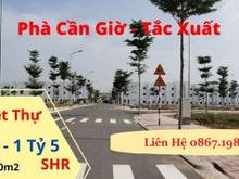 Hình ảnh Thanh Lý 10 Nền Biệt Thự - Mở Mắt Thấy Biển - Bến Phà Cần Giờ-Tắc Xuất