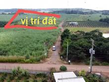 Hình ảnh Đất sổ riêng 1 người đứng tên khu vực trảng bom - hàng hiếm lắm luôn