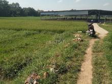 Hình ảnh Bán gấp lô đất sông lũy giá rẻ để xoay tiền trả nợ