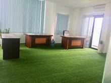 Hình ảnh Văn phong cho thuê: 40m2, 146m2 đường Phan Đình Giót, Quận Tân Bình