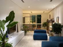 Hình ảnh Cần tiền bán gấp Mặt phố Đội Cấn giá 12 tỷ, 55m2, Kinh doanh lớn