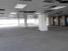Hình ảnh Chính chủ cho thuê mặt phố Trần Thái Tông. DT 400m2x3T+hầm, MT 15m