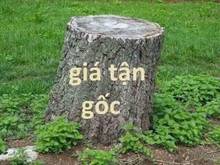 Hình ảnh Đất Long Biên. Ngõ Thông - Gara Ô Tô - Gần Chợ,DT 59m2 x4.2m nhỉnh 1tỷ