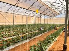 Hình ảnh Bán 8560m2 đất Mb6666 game giải trí miễn phí phan thanh gần quốc lộ chỉ 599tr Lh Hiền