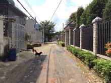 Hình ảnh Ra gấp Tổ hợp Khách sạn 1000m2 Tân Đông Hiệp Dĩ An chỉ 28 tỷ