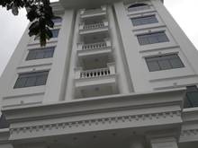 Hình ảnh Cho thuê nhà ngõ ô tô tránh Đường Nguyên Hồng  , 130m2*7 tầng+1 hầm,