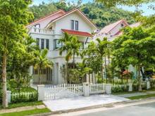 Hình ảnh Bán căn Biệt Thự Xanh Villas Hòa Lạc DT 569.3m View bể bơi cực đẹp