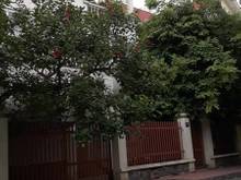 Hình ảnh Cho thuê biệt thự đường Thọ Tháp, 280m2, 5 T+1 hầm, thang máy, 45tr