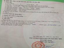 Hình ảnh Bán đất 2 mặt tiền trước sau hẻm ấp đông 1 xã thới tam thôn hóc môn