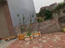 Hình ảnh Gia đình cân tiền gấp bán 50m đất view vườn hoa TĐC Giang Biên