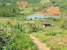Hình ảnh Bán Lô Đất View Hồ Lộc Tân Siêu Xinh