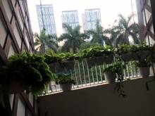 Hình ảnh Cần bán căn  n04A Ngoại giao đoàn 80m2 chia 2 ngủ full nội thất đẹp