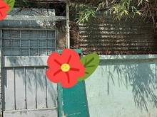 Hình ảnh 6 x 10, NHÀ CŨ CHÁNH CHỦ  Hẻm 3-4m ngay góc ngã 4 Vĩnh Viễn - Nguyễn D