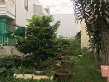 Hình ảnh Bán đất thổ cư 100m2 trục chính hẻm Liên Tổ 3 4 lộ tô giá 29tr/1m
